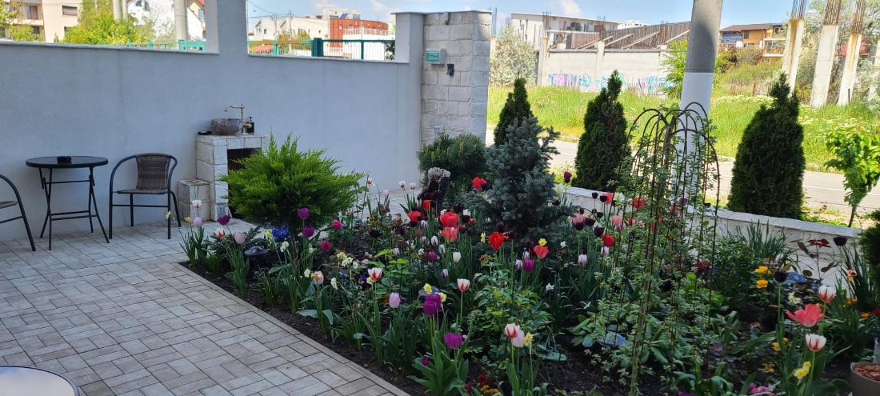 Casa Andi Leilighet Năvodari Eksteriør bilde